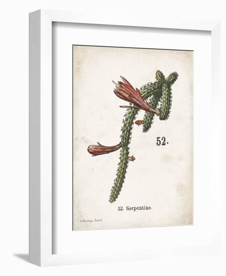 Cacti III-Gwendolyn Babbitt-Framed Art Print