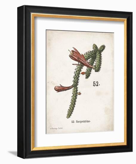 Cacti III-Gwendolyn Babbitt-Framed Art Print