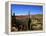 Cacti in Canon del Inca, Tupiza Chichas Range, Andes, Southwestern Bolivia, South America-Simon Montgomery-Framed Premier Image Canvas