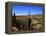 Cacti in Canon del Inca, Tupiza Chichas Range, Andes, Southwestern Bolivia, South America-Simon Montgomery-Framed Premier Image Canvas