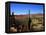 Cacti in Canon del Inca, Tupiza Chichas Range, Andes, Southwestern Bolivia, South America-Simon Montgomery-Framed Premier Image Canvas