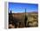 Cacti in Canon del Inca, Tupiza Chichas Range, Andes, Southwestern Bolivia, South America-Simon Montgomery-Framed Premier Image Canvas