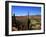 Cacti in Canon del Inca, Tupiza Chichas Range, Andes, Southwestern Bolivia, South America-Simon Montgomery-Framed Photographic Print