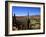 Cacti in Canon del Inca, Tupiza Chichas Range, Andes, Southwestern Bolivia, South America-Simon Montgomery-Framed Photographic Print