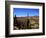 Cacti in Canon del Inca, Tupiza Chichas Range, Andes, Southwestern Bolivia, South America-Simon Montgomery-Framed Photographic Print