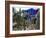 Cacti in the Majorelle Garden, Restored by the Couturier Yves Saint-Laurent, Marrakesh, Morocco-De Mann Jean-Pierre-Framed Photographic Print