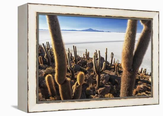 Cacti, Isla Incahuasi, a Unique Outcrop in the Middle of the Salar De Uyuni, Oruro, Bolivia-Roberto Moiola-Framed Premier Image Canvas