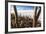 Cacti, Isla Incahuasi, a Unique Outcrop in the Middle of the Salar De Uyuni, Oruro, Bolivia-Roberto Moiola-Framed Photographic Print