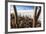 Cacti, Isla Incahuasi, a Unique Outcrop in the Middle of the Salar De Uyuni, Oruro, Bolivia-Roberto Moiola-Framed Photographic Print