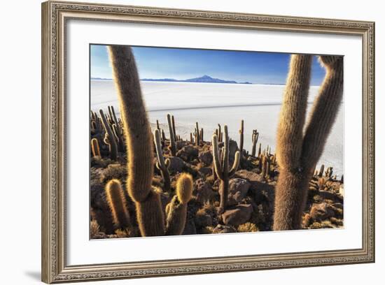 Cacti, Isla Incahuasi, a Unique Outcrop in the Middle of the Salar De Uyuni, Oruro, Bolivia-Roberto Moiola-Framed Photographic Print