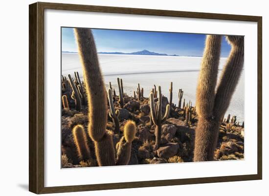 Cacti, Isla Incahuasi, a Unique Outcrop in the Middle of the Salar De Uyuni, Oruro, Bolivia-Roberto Moiola-Framed Photographic Print