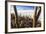 Cacti, Isla Incahuasi, a Unique Outcrop in the Middle of the Salar De Uyuni, Oruro, Bolivia-Roberto Moiola-Framed Photographic Print