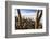 Cacti, Isla Incahuasi, a Unique Outcrop in the Middle of the Salar De Uyuni, Oruro, Bolivia-Roberto Moiola-Framed Photographic Print