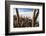 Cacti, Isla Incahuasi, a Unique Outcrop in the Middle of the Salar De Uyuni, Oruro, Bolivia-Roberto Moiola-Framed Photographic Print