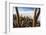 Cacti, Isla Incahuasi, a Unique Outcrop in the Middle of the Salar De Uyuni, Oruro, Bolivia-Roberto Moiola-Framed Photographic Print