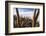 Cacti, Isla Incahuasi, a Unique Outcrop in the Middle of the Salar De Uyuni, Oruro, Bolivia-Roberto Moiola-Framed Photographic Print