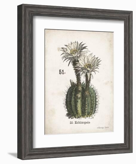 Cacti IV-Gwendolyn Babbitt-Framed Art Print