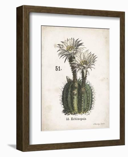 Cacti IV-Gwendolyn Babbitt-Framed Art Print