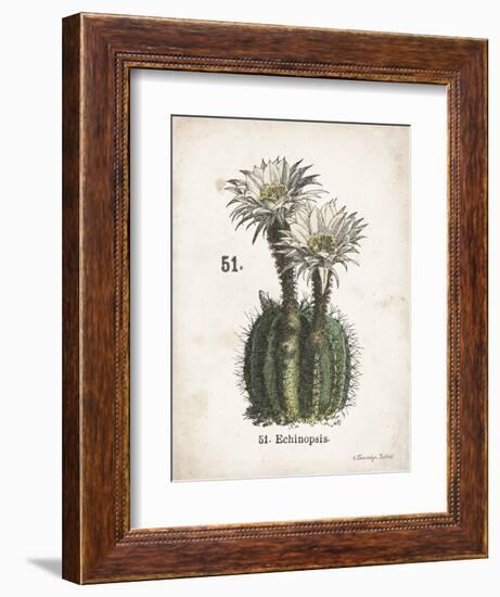 Cacti IV-Gwendolyn Babbitt-Framed Art Print