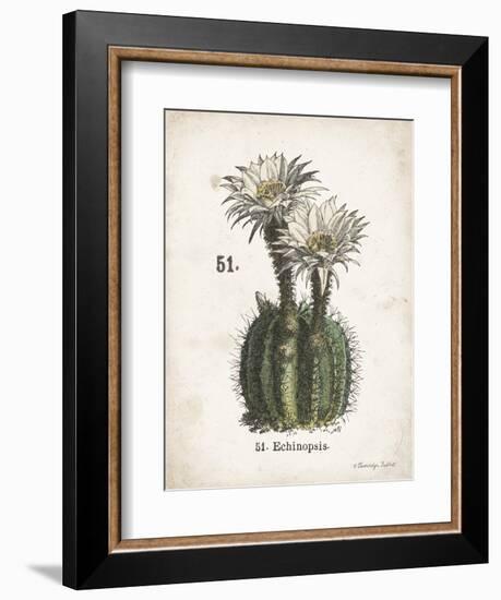 Cacti IV-Gwendolyn Babbitt-Framed Art Print