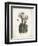 Cacti IV-Gwendolyn Babbitt-Framed Art Print