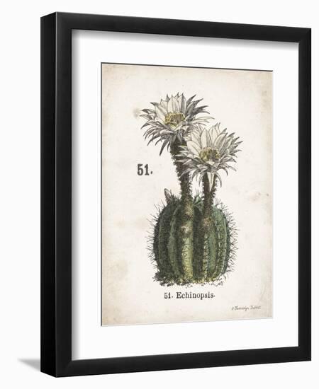 Cacti IV-Gwendolyn Babbitt-Framed Art Print