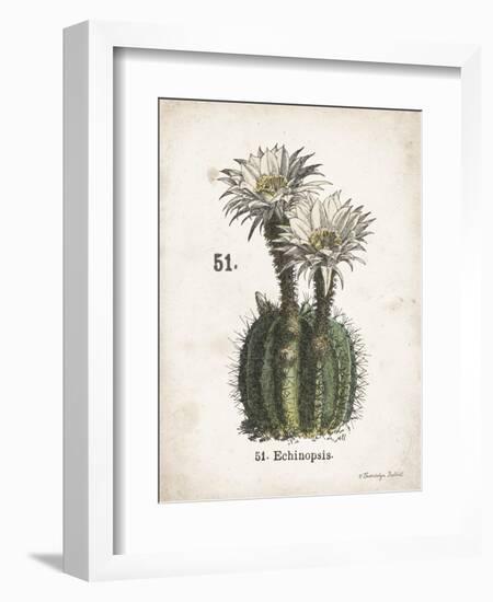 Cacti IV-Gwendolyn Babbitt-Framed Art Print