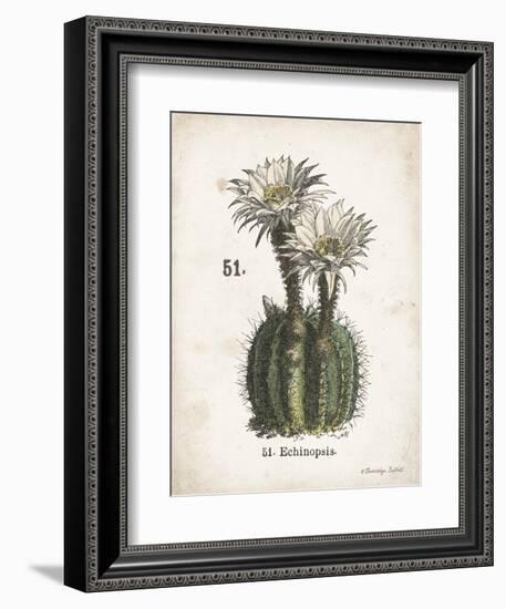 Cacti IV-Gwendolyn Babbitt-Framed Art Print