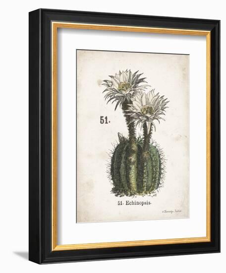 Cacti IV-Gwendolyn Babbitt-Framed Art Print