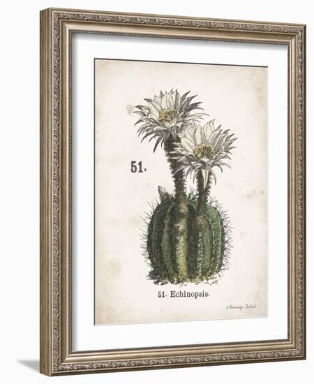 Cacti IV-Gwendolyn Babbitt-Framed Art Print