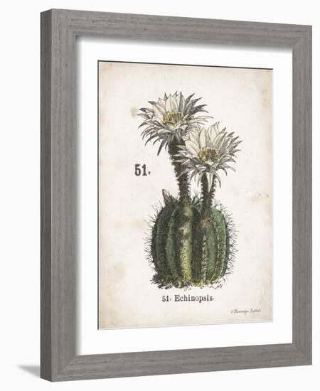 Cacti IV-Gwendolyn Babbitt-Framed Art Print