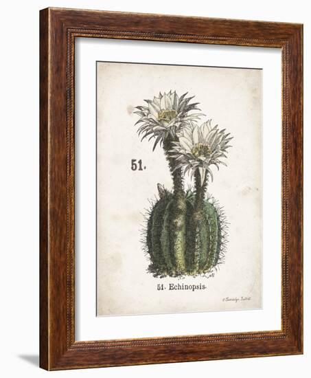 Cacti IV-Gwendolyn Babbitt-Framed Art Print