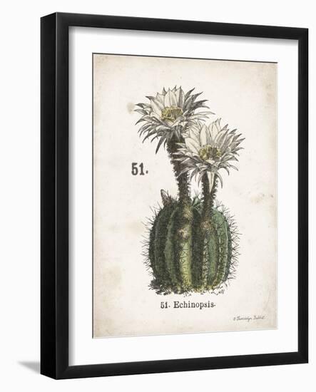 Cacti IV-Gwendolyn Babbitt-Framed Art Print