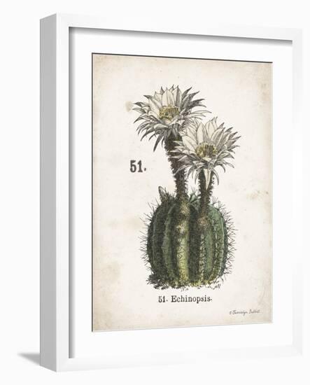 Cacti IV-Gwendolyn Babbitt-Framed Art Print