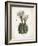 Cacti IV-Gwendolyn Babbitt-Framed Art Print