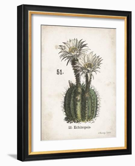 Cacti IV-Gwendolyn Babbitt-Framed Art Print