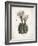 Cacti IV-Gwendolyn Babbitt-Framed Premium Giclee Print