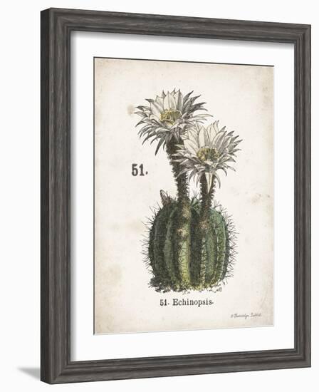 Cacti IV-Gwendolyn Babbitt-Framed Premium Giclee Print