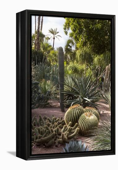 Cacti, Jardin Majorelle, Owned by Yves St. Laurent, Marrakech, Morocco, North Africa, Africa-Stephen Studd-Framed Premier Image Canvas