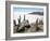 Cacti on Isla De Los Pescadores, and Salt Flats, Salar De Uyuni, Southwest Highlands, Bolivia-Tony Waltham-Framed Photographic Print