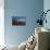 Cacti on the Isla Del Pescado Above the Salar De Uyuni at Sunset-Alex Saberi-Photographic Print displayed on a wall