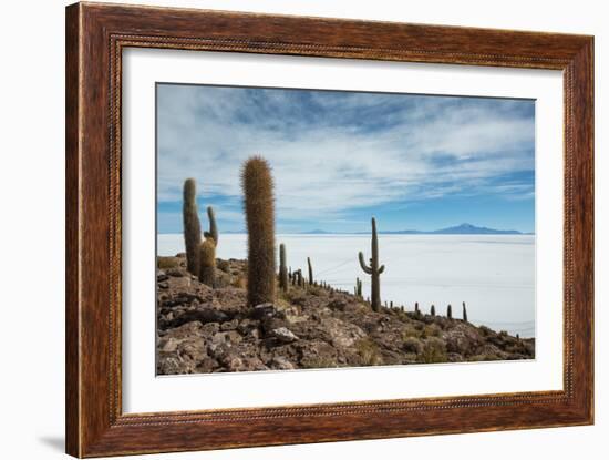 Cacti on the Isla Del Pescado Above the Salar De Uyuni-Alex Saberi-Framed Photographic Print