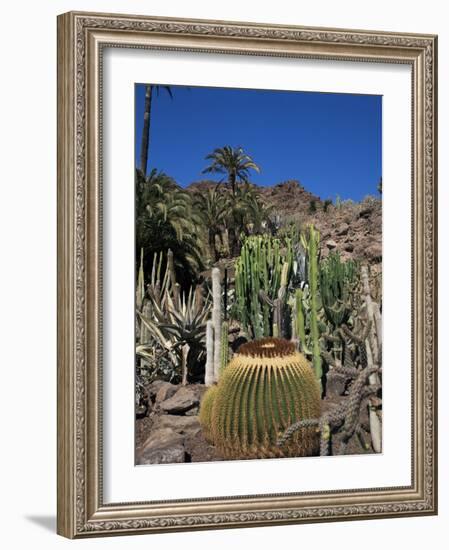 Cacti, Palmitos Ornithological Park, Maspalomas, Gran Canaria, Canary Islands, Spain-Philip Craven-Framed Photographic Print