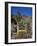 Cacti, Palmitos Ornithological Park, Maspalomas, Gran Canaria, Canary Islands, Spain-Philip Craven-Framed Photographic Print