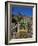 Cacti, Palmitos Ornithological Park, Maspalomas, Gran Canaria, Canary Islands, Spain-Philip Craven-Framed Photographic Print