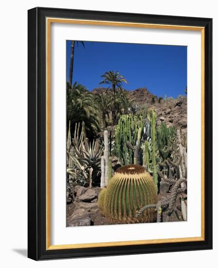 Cacti, Palmitos Ornithological Park, Maspalomas, Gran Canaria, Canary Islands, Spain-Philip Craven-Framed Photographic Print