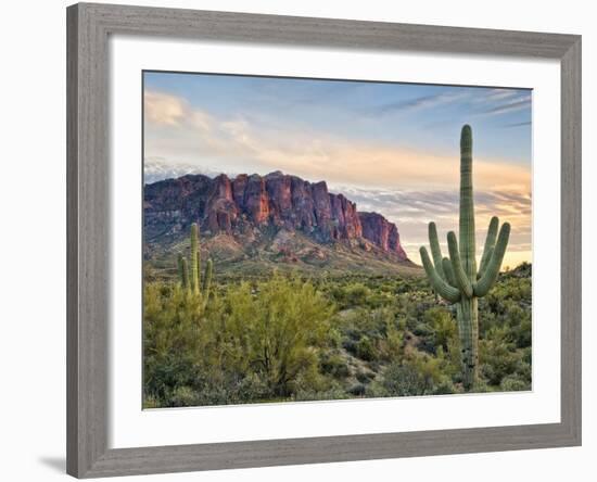 Cacti View II-David Drost-Framed Photographic Print