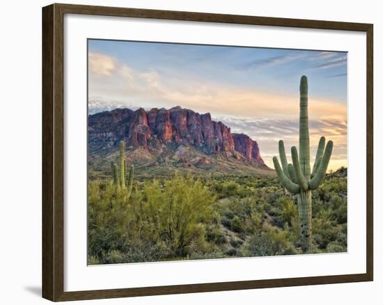 Cacti View II-David Drost-Framed Photographic Print
