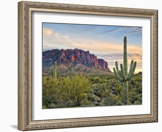 Cacti View II-David Drost-Framed Photographic Print