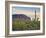 Cacti View II-David Drost-Framed Photographic Print